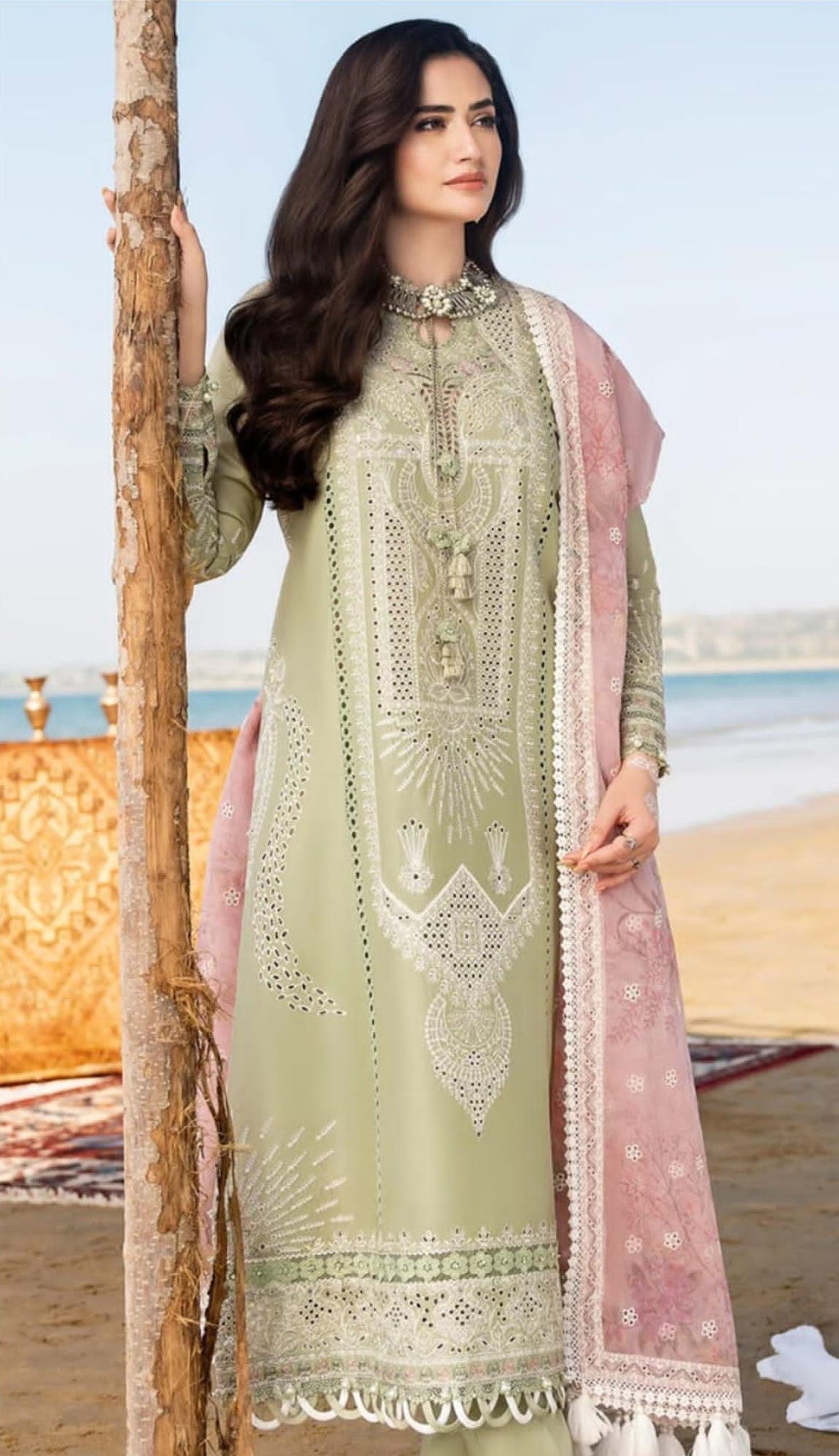 JAZMIN | DHANAK 3 PIECE FULL HEAVY EMBROIDERED SUIT FOR WINTER 2024-2025